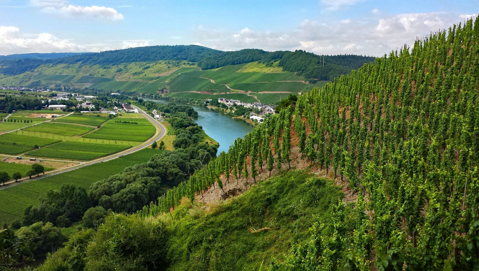 Samsung Galaxy S4 sample photo. ürzig, mosel, sachsen photography