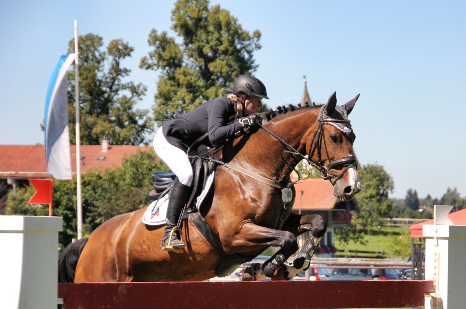 Canon EOS 550D (EOS Rebel T2i / EOS Kiss X4) sample photo. Cavalry, sitting, horse photography