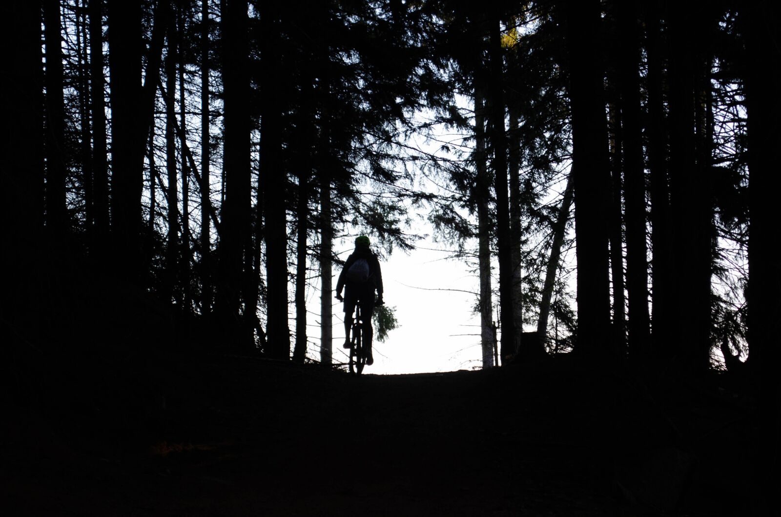 Nikon D5100 sample photo. Bike, silhouette, cyclists photography