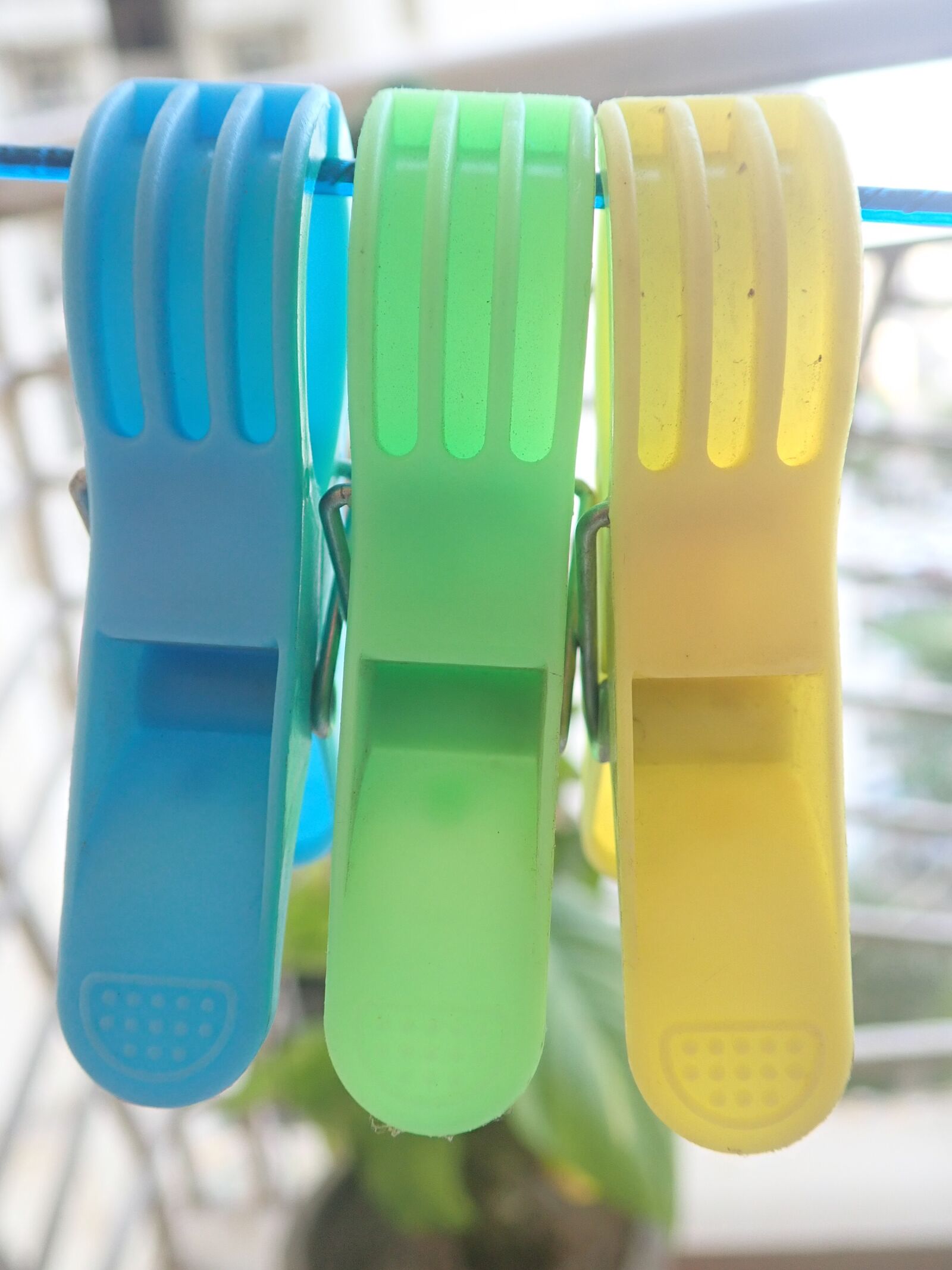 Olympus TG-5 sample photo. Clips, blue, green photography