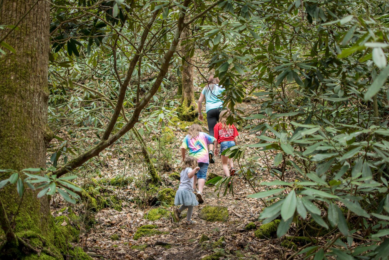 Nikon D3300 sample photo. Forest, children, sisters photography