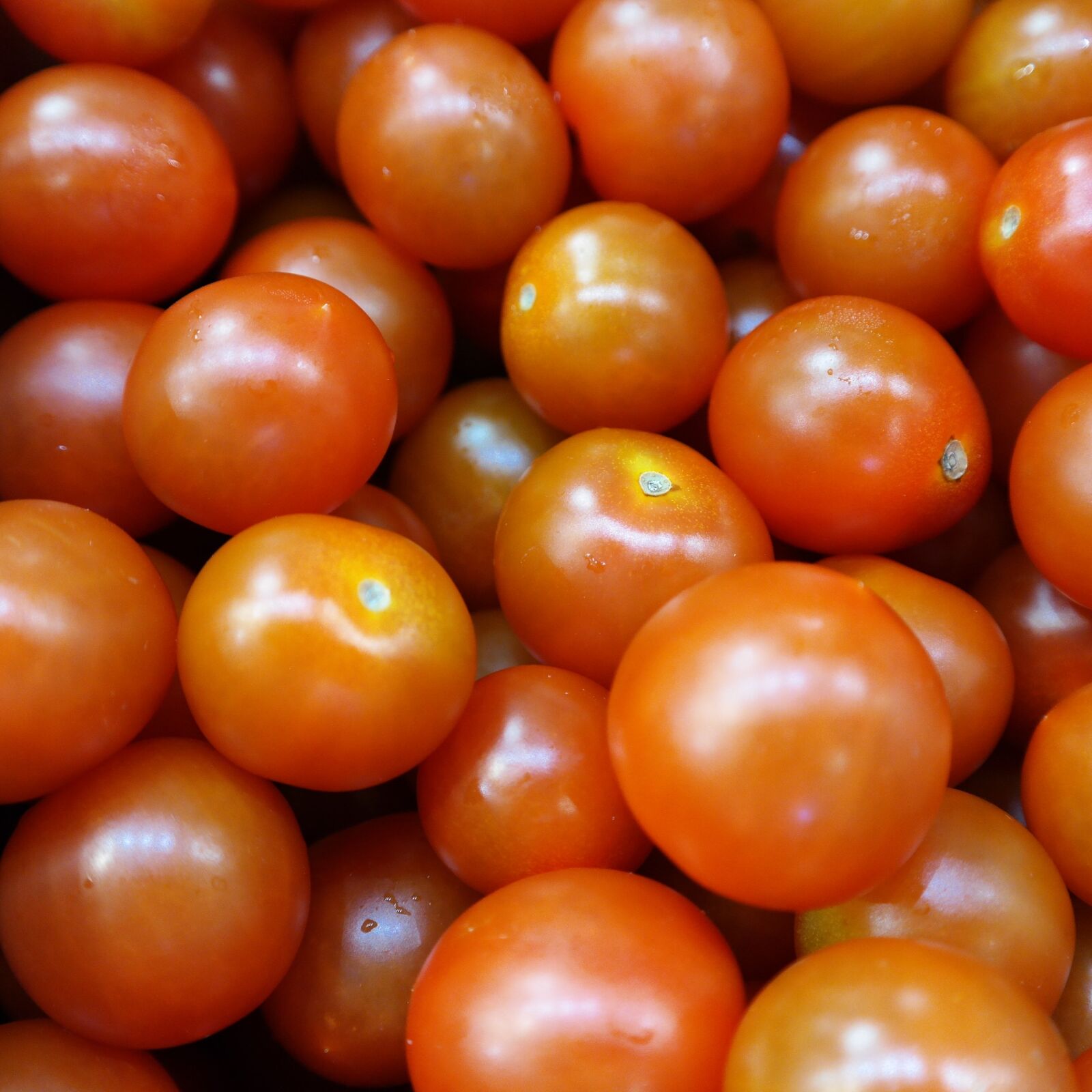 Samsung NX30 sample photo. Fresh, tomatoes, organic photography