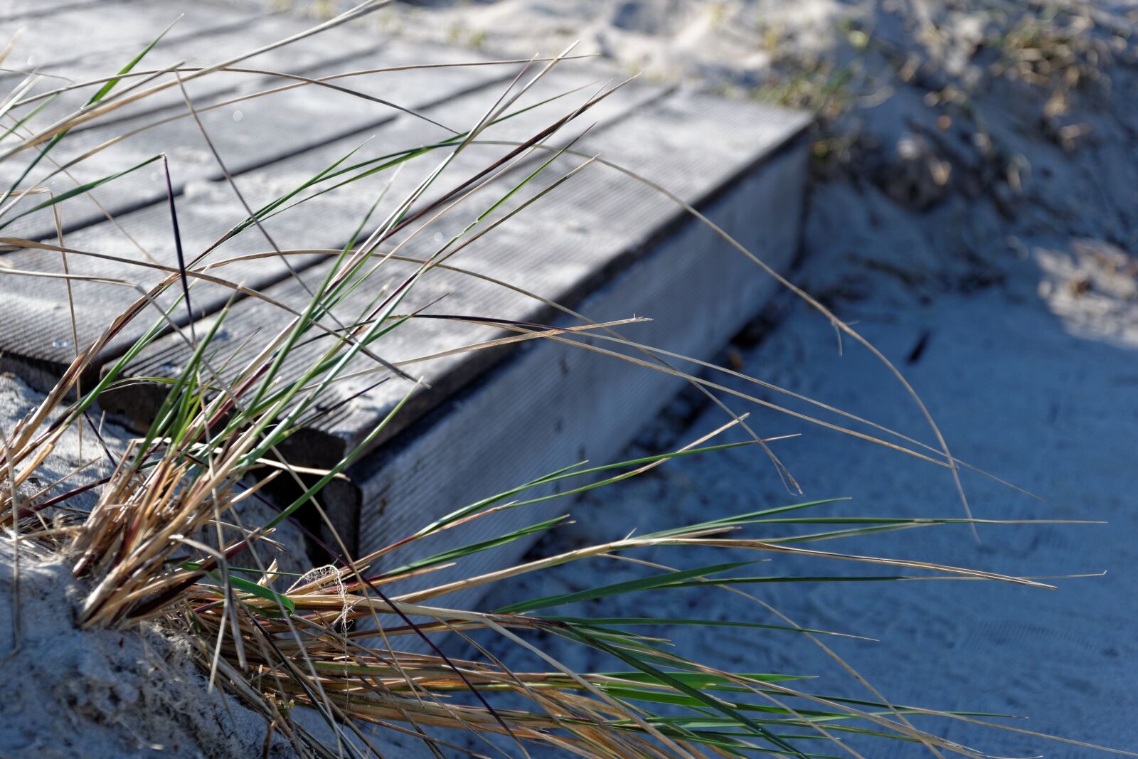 Nikon D5300 sample photo. Beach, binz, summer photography