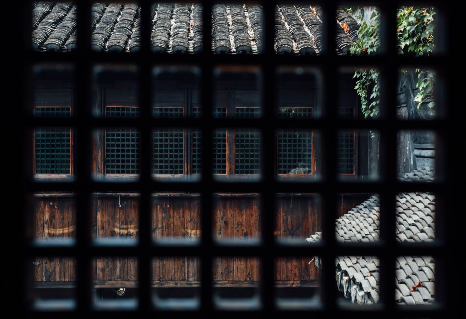Nikon D750 sample photo. Xitang, the scenery, the photography