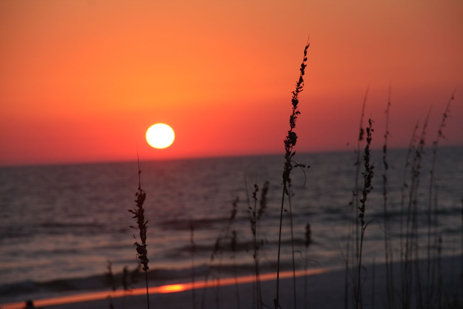 Canon EOS 40D sample photo. Sunset, beach, sky photography