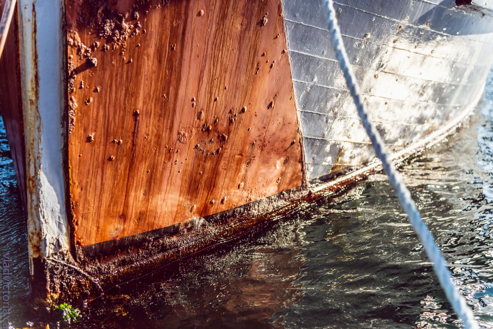 Nikon D750 sample photo. Boat, ocean, sailing vessel photography