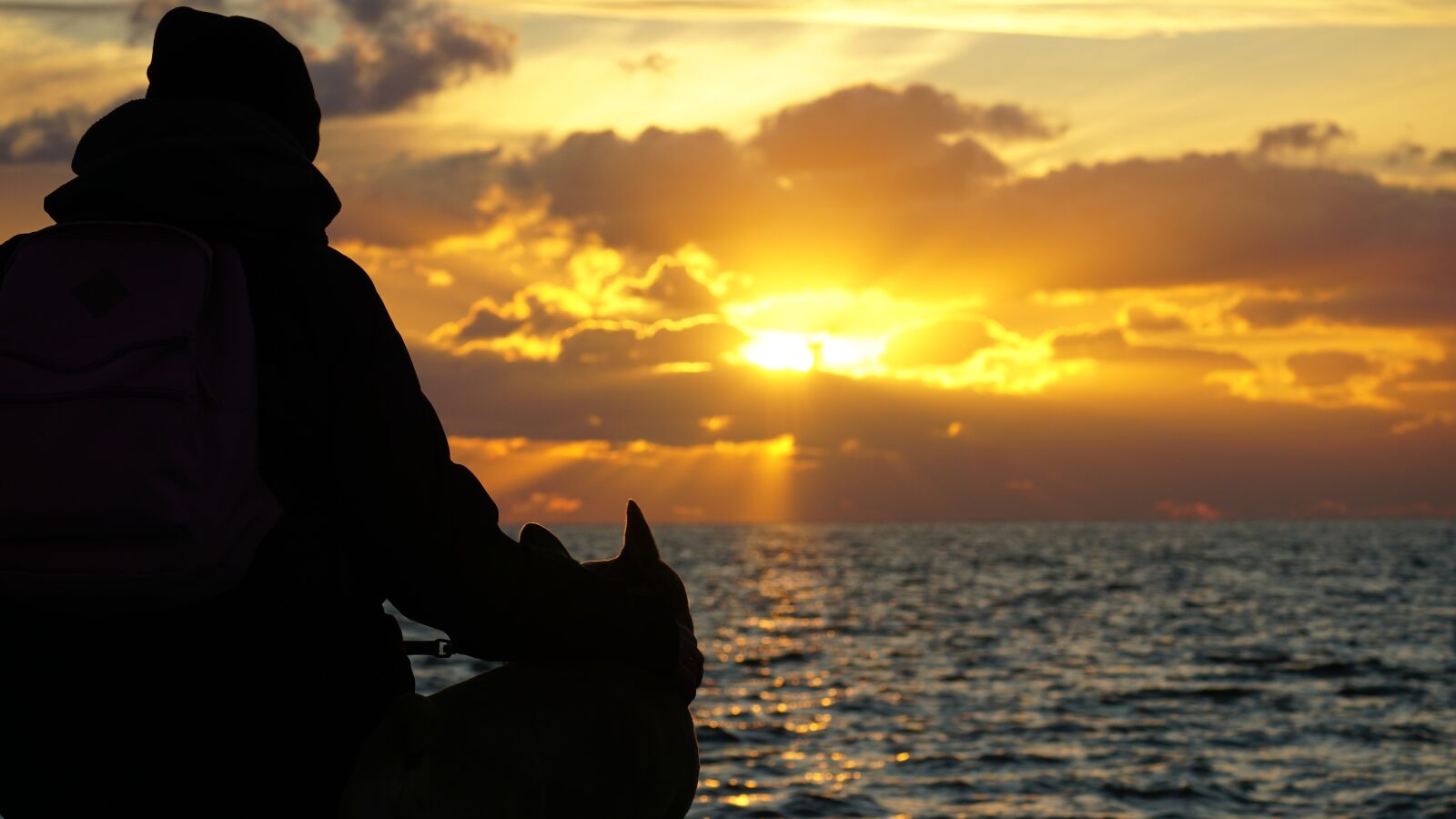 Sony a6000 + Sony E 70-350mm F4.5-6.3 G OSS sample photo. Sunset, man and animal photography