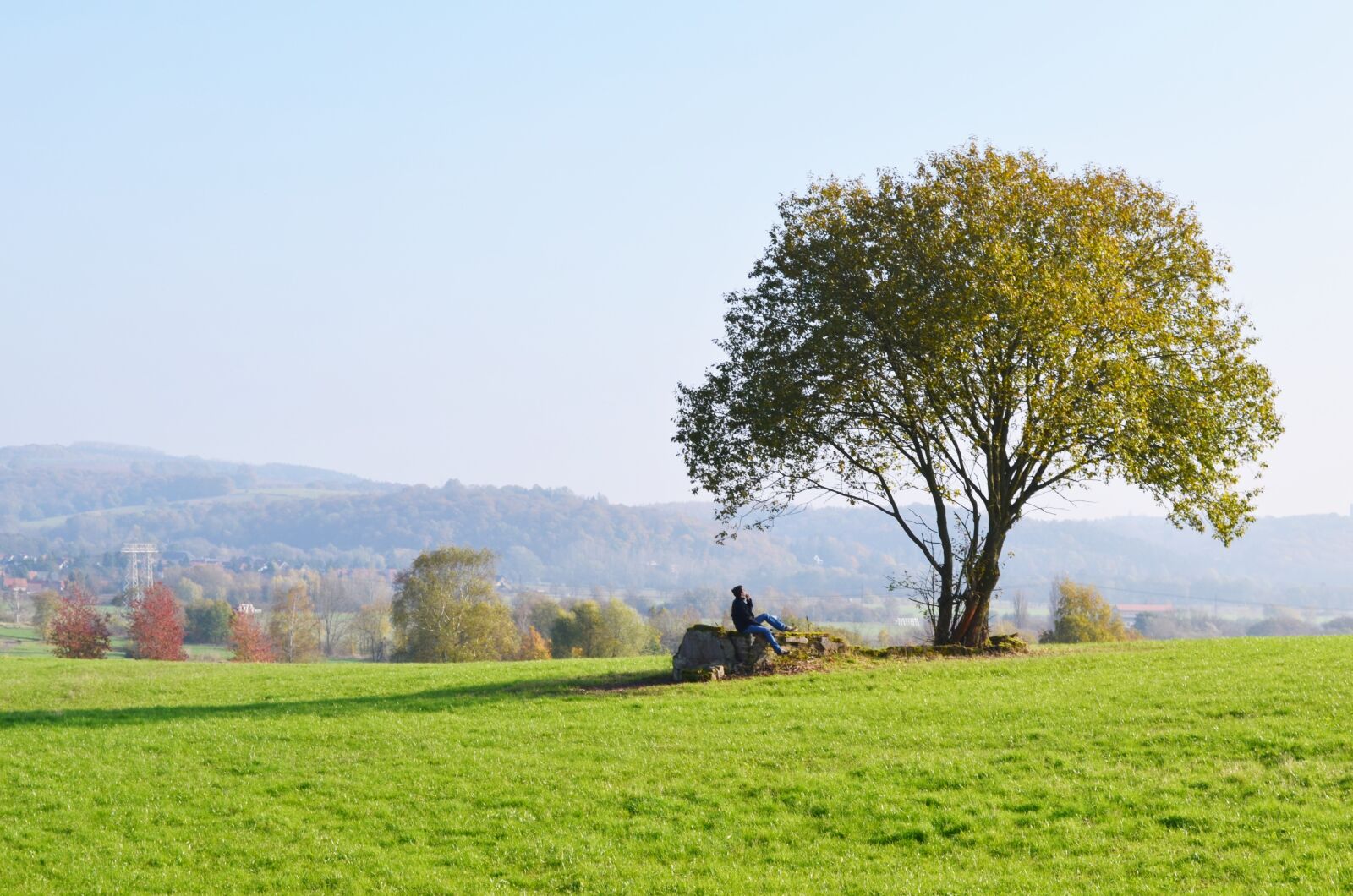 Nikon D5100 sample photo. Grass, landscape, meadow, tree photography