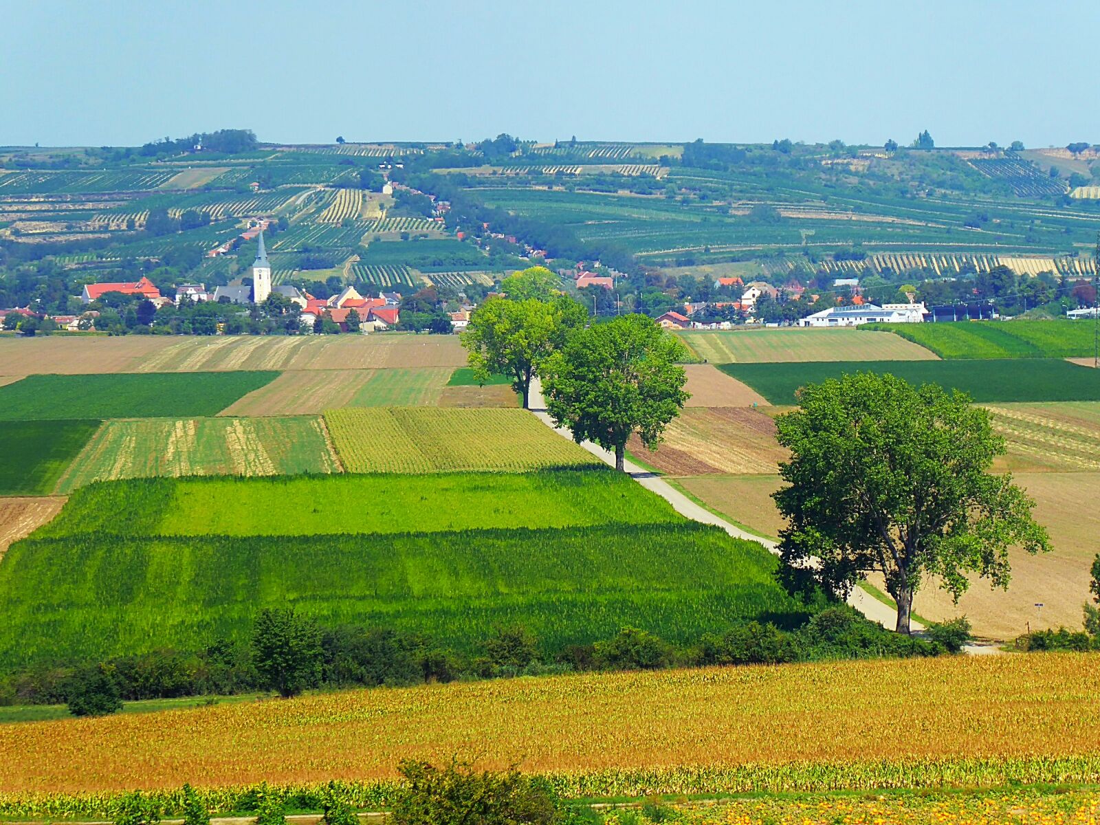 Panasonic DMC-TZ71 sample photo. Weinviertel, austria, hill land photography