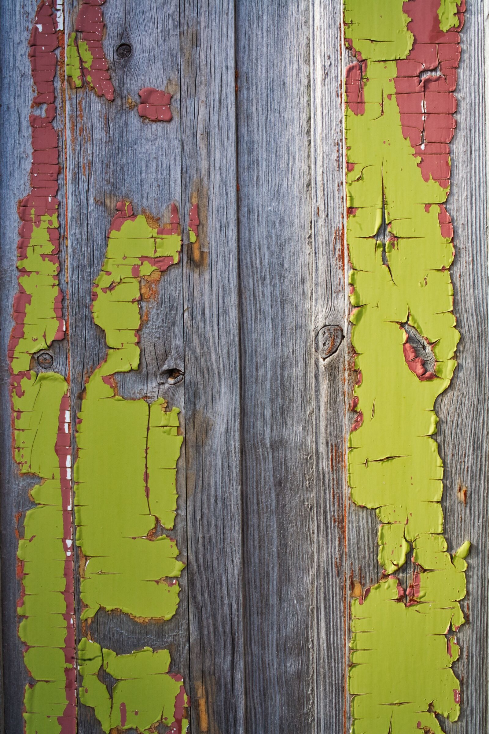 Canon EOS 5D sample photo. Old, paint, peeling photography
