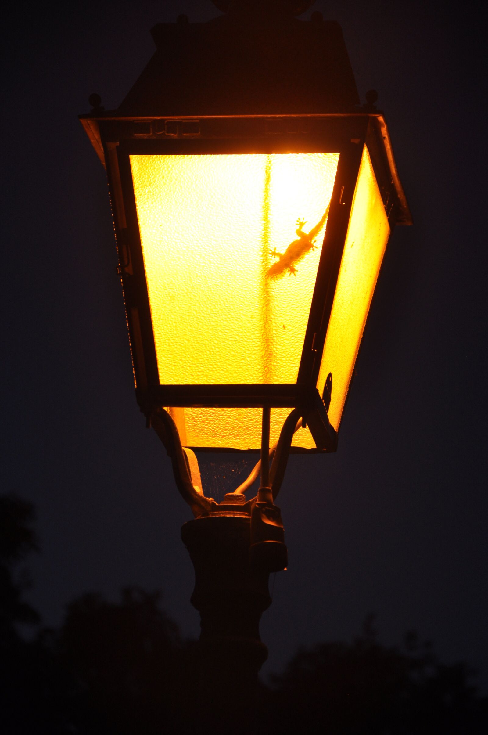 Nikon D90 sample photo. Lantern, lighting, evening photography