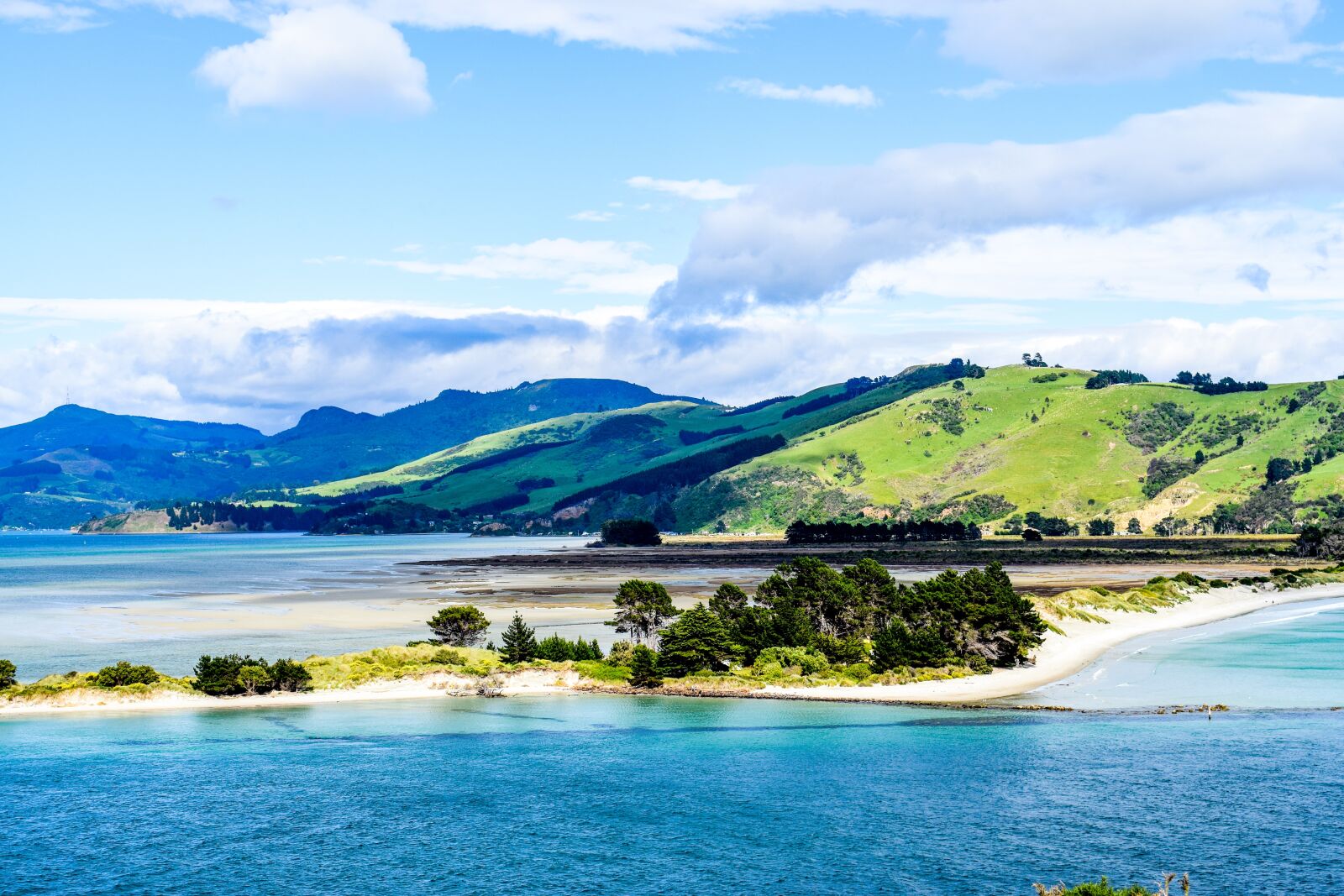 Nikon D5300 sample photo. New zealand, dunedin, beach photography