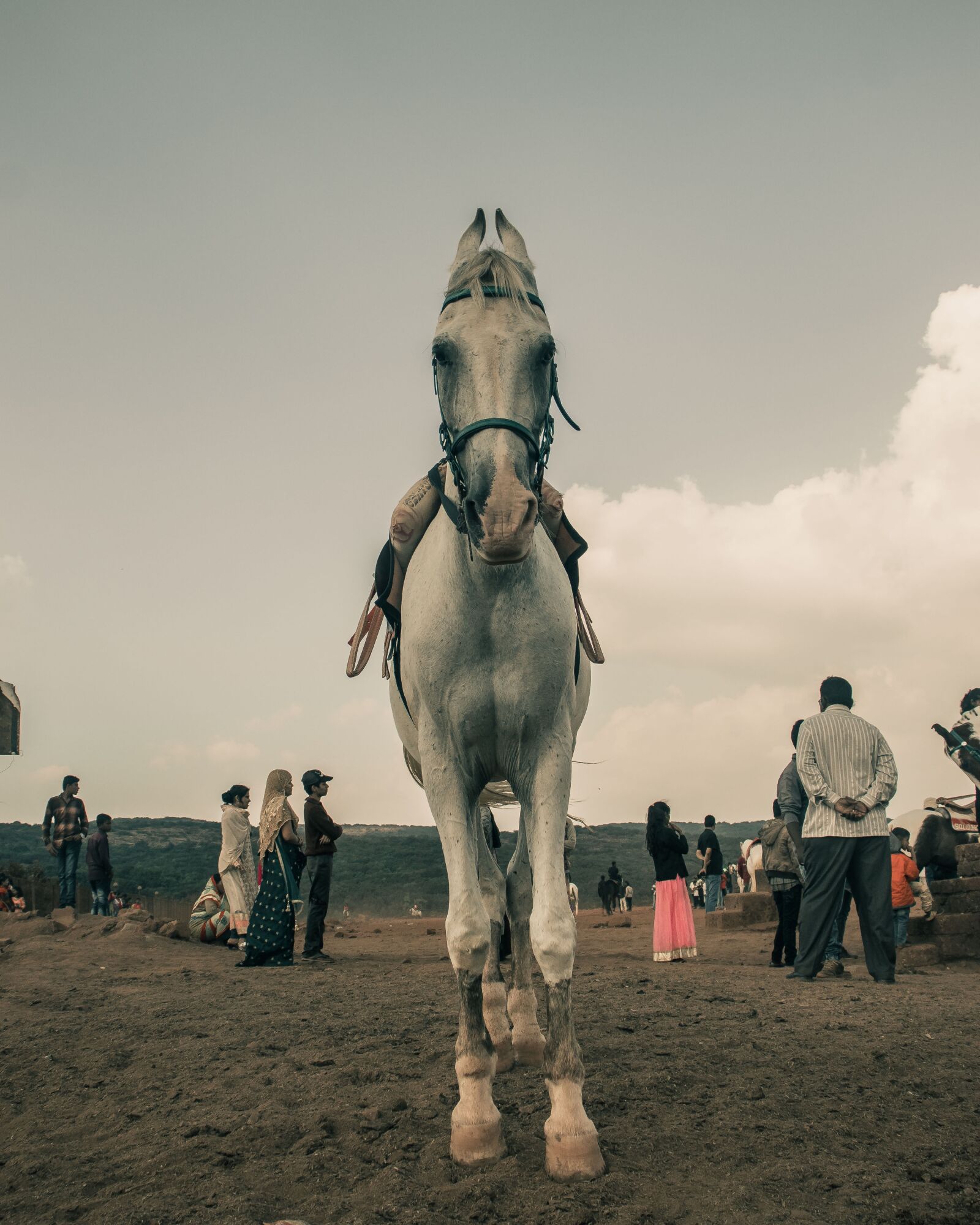 Canon EOS 200D (EOS Rebel SL2 / EOS Kiss X9) sample photo. Horse, clouds, countryside photography