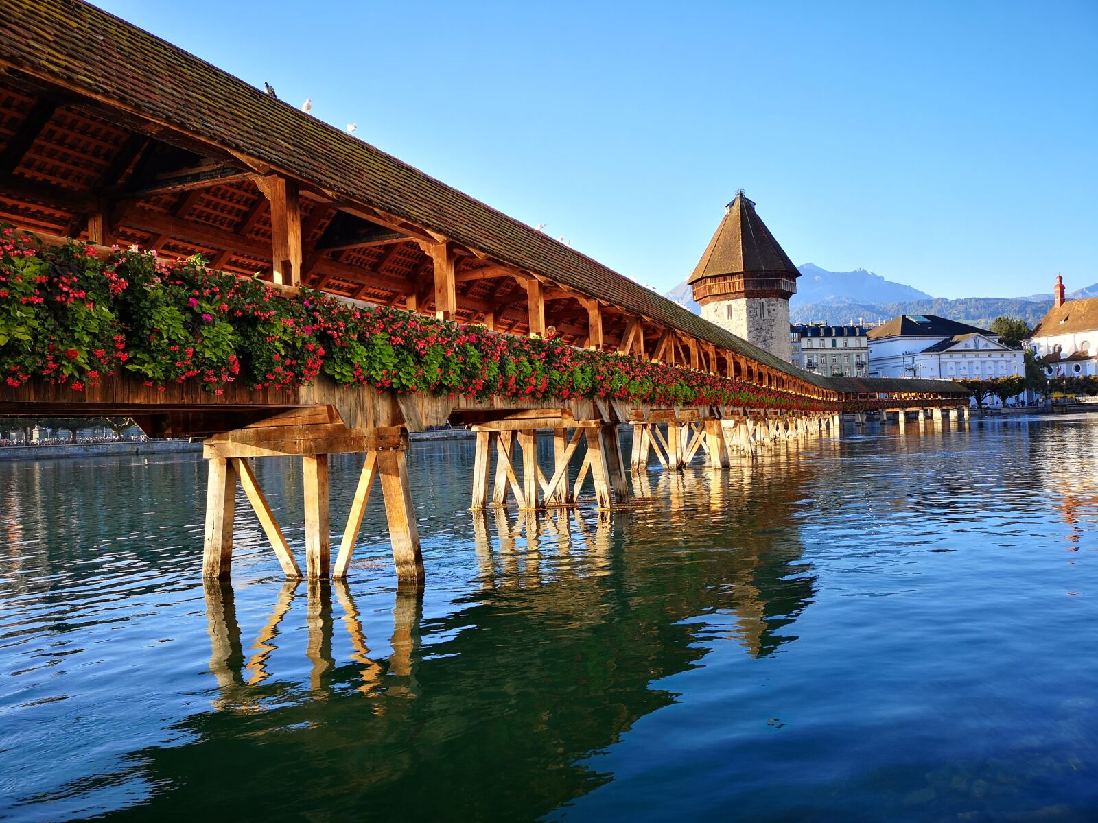 HUAWEI CLT-L29 sample photo. Lucerne, kappel bridge, autumn photography