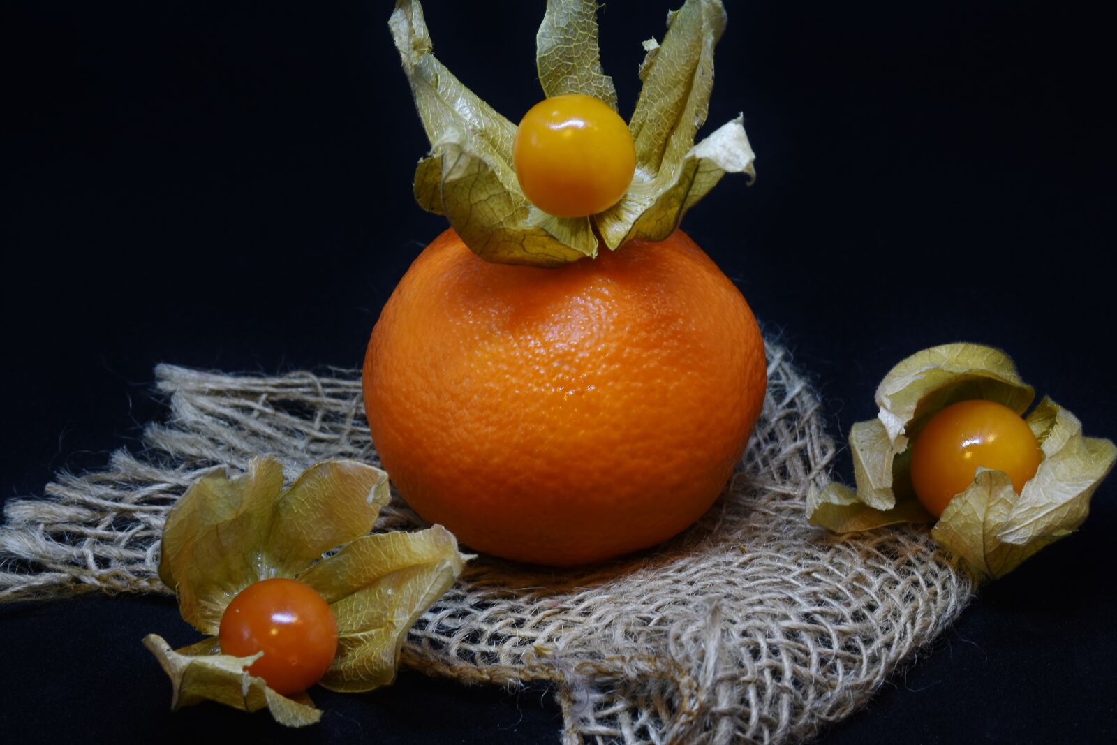 Nikon D7200 sample photo. Orange, physalis, fruit photography
