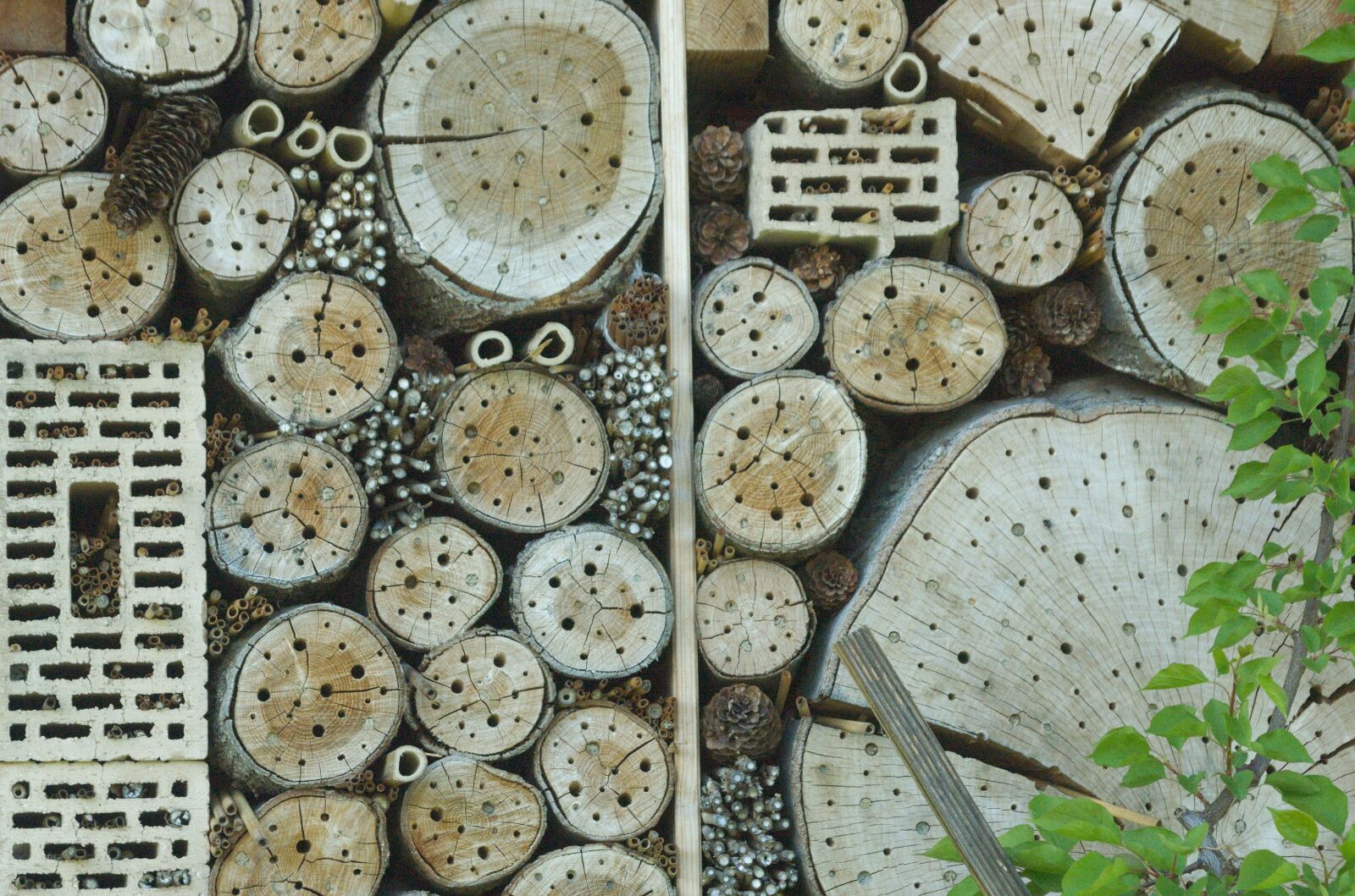Nikon D70 sample photo. Insect hotel, insect house photography