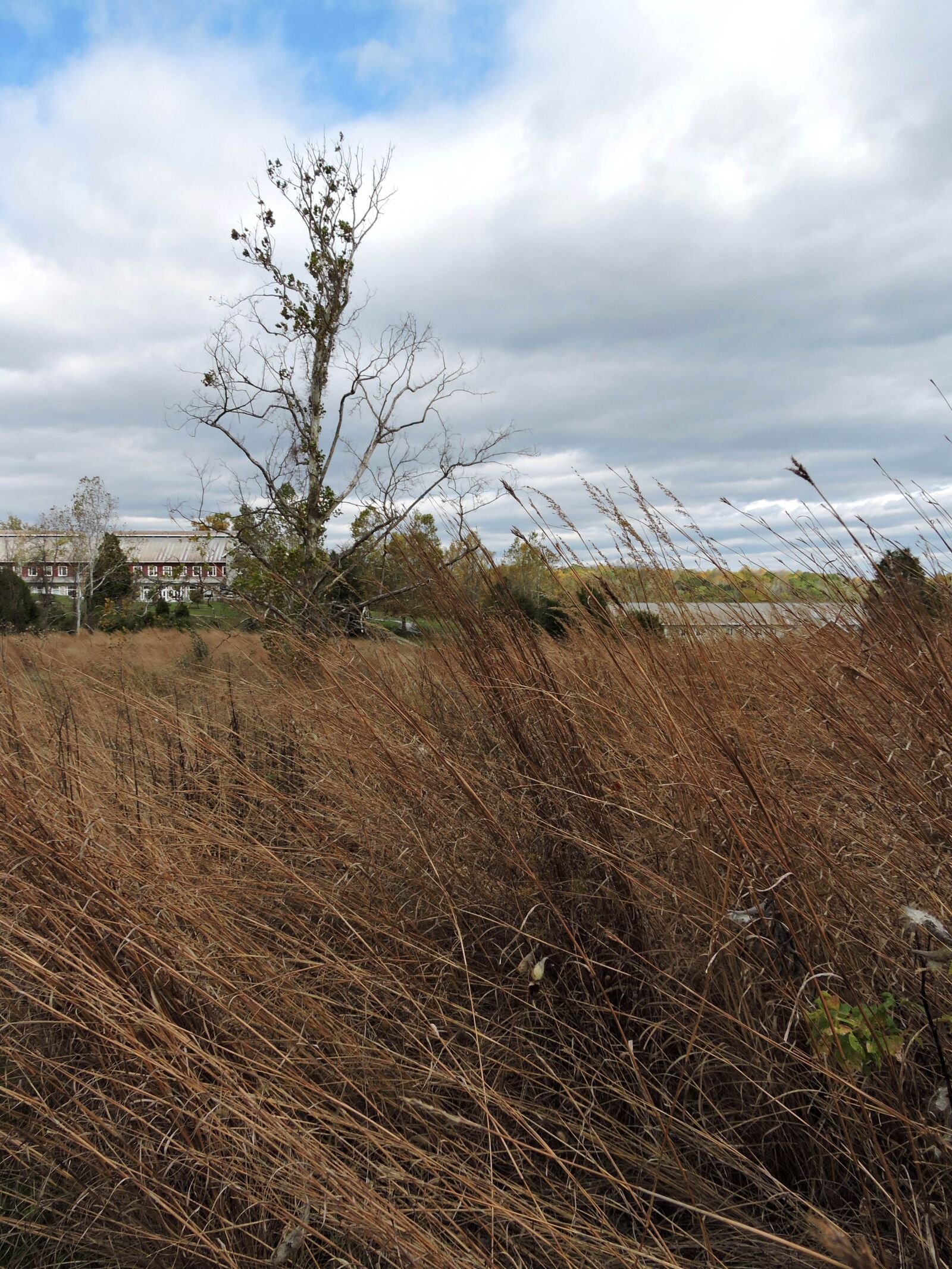 Nikon Coolpix P600 sample photo. Autumn, field, buildings photography