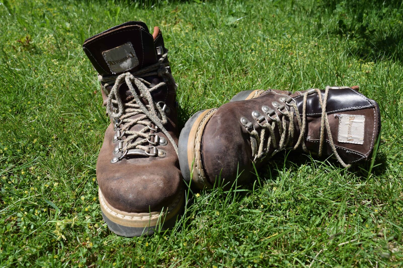 Nikon D3300 sample photo. Leather, footwear, grass, shoe photography