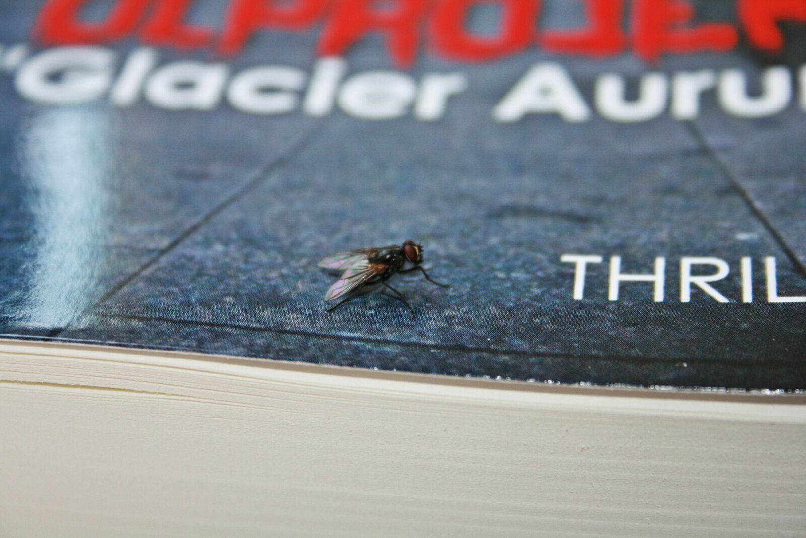 Canon EOS 400D (EOS Digital Rebel XTi / EOS Kiss Digital X) sample photo. Book, fly, books photography