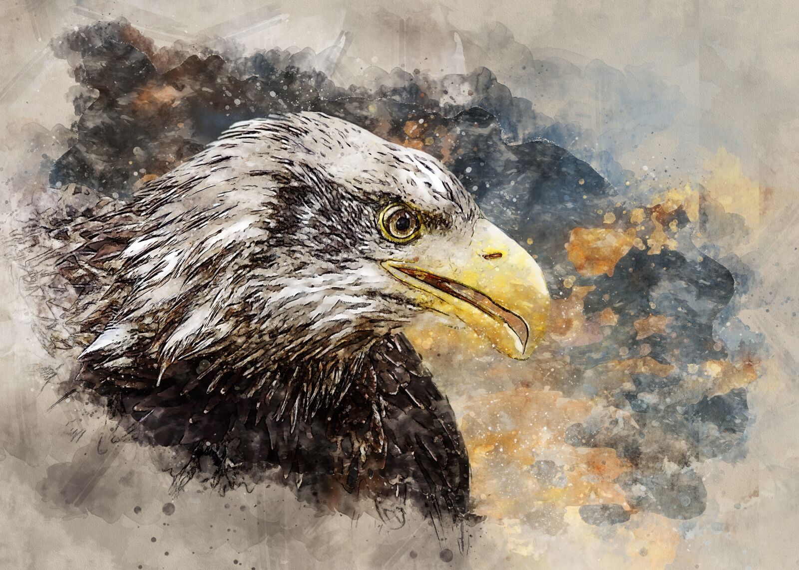 Sony SLT-A77 sample photo. Adler, white tailed eagle photography