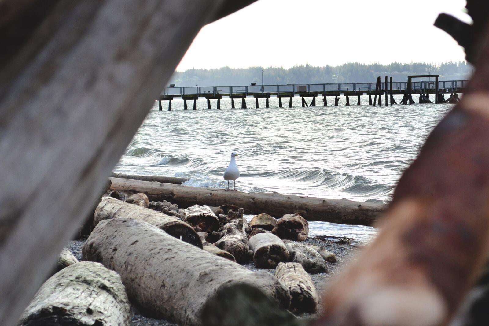 Nikon D5100 sample photo. Beach, water, shore photography