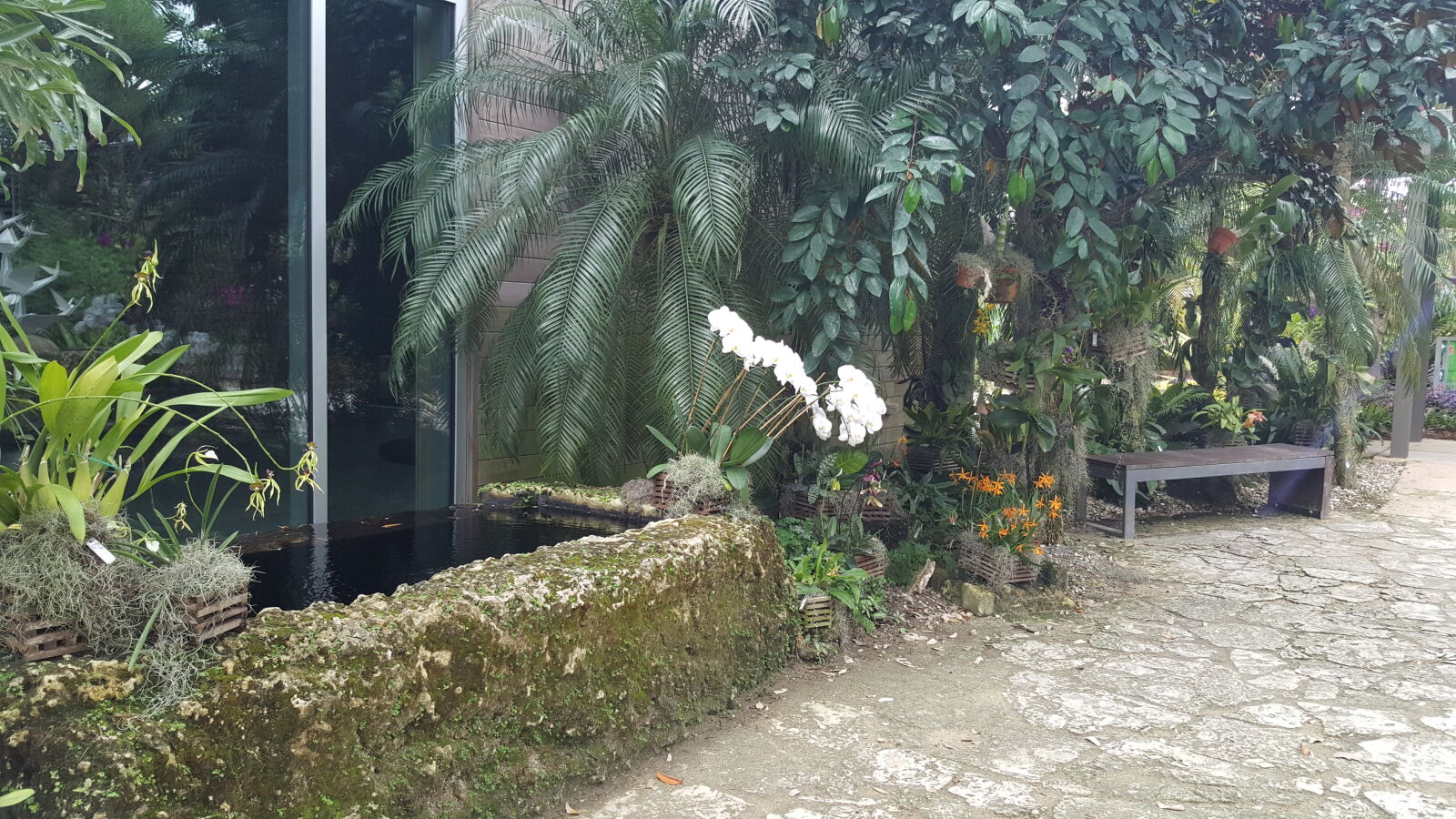 Samsung GALAXY S6 edge sample photo. Botanical, gardens photography