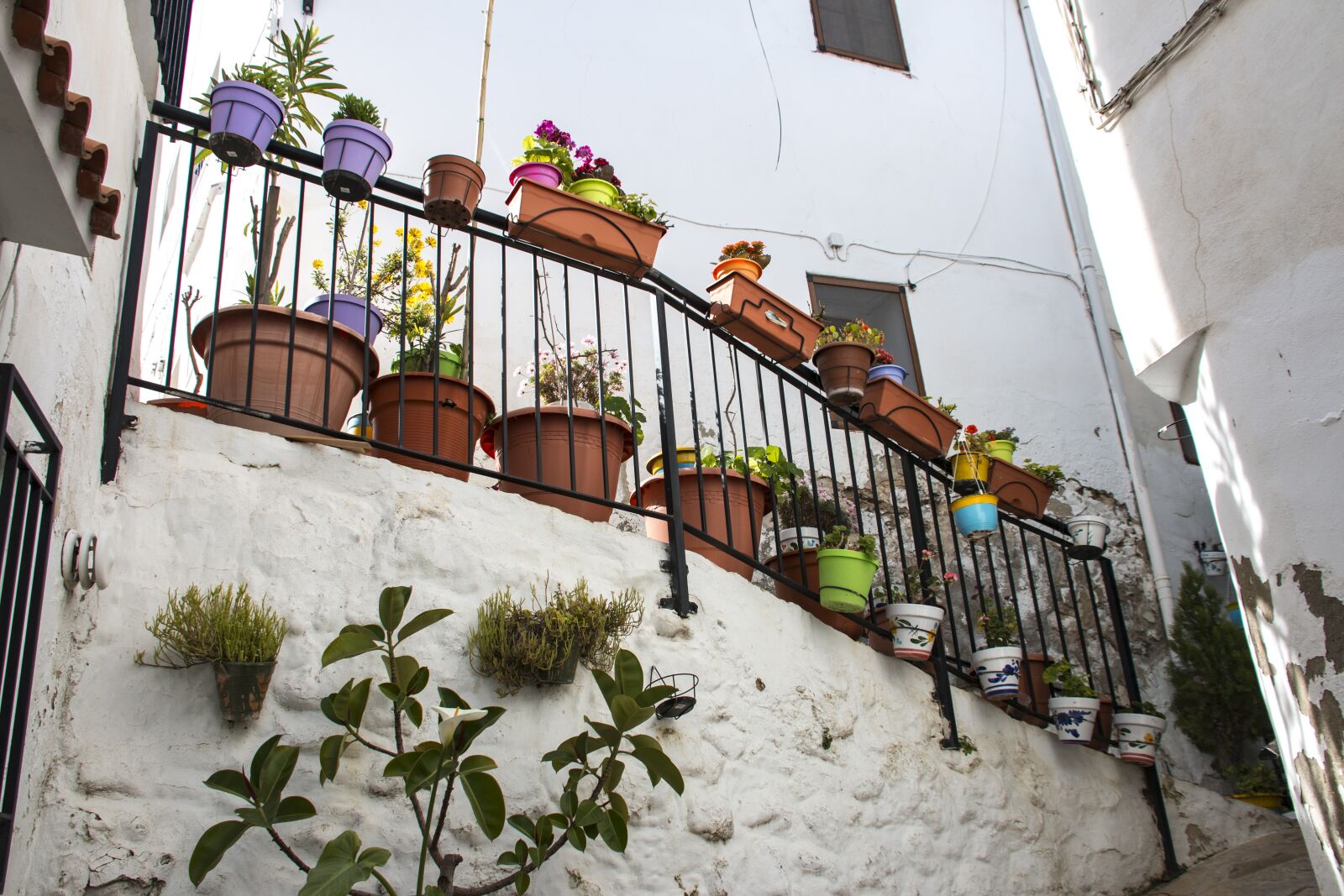 Canon EOS 70D sample photo. Chulilla, balcony, plants photography