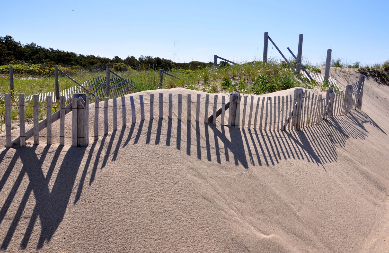 Nikon D90 sample photo. Cape cod, provincetown, dune photography