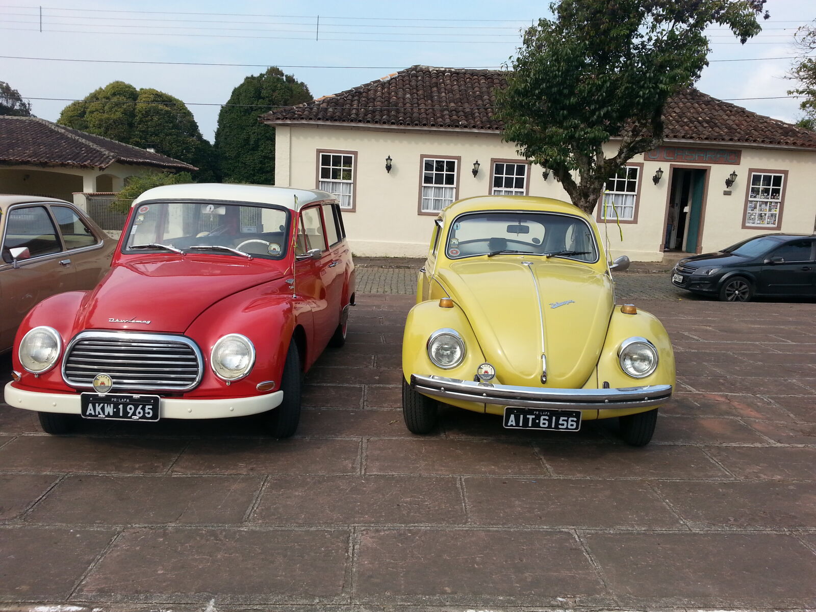Samsung Galaxy S3 sample photo. Beetle photography