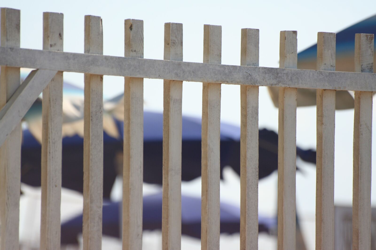 Canon EOS 350D (EOS Digital Rebel XT / EOS Kiss Digital N) sample photo. Fence, picket fence, wood photography