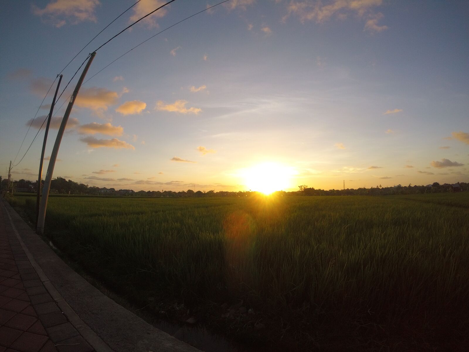 GoPro HERO5 Session sample photo. Sunset, field, green photography