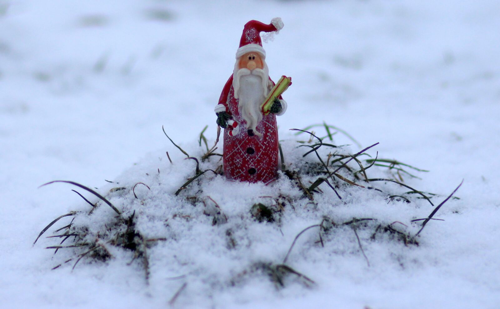 Canon EOS 700D (EOS Rebel T5i / EOS Kiss X7i) + Canon EF 85mm F1.8 USM sample photo. Decoration, winter, christmas photography