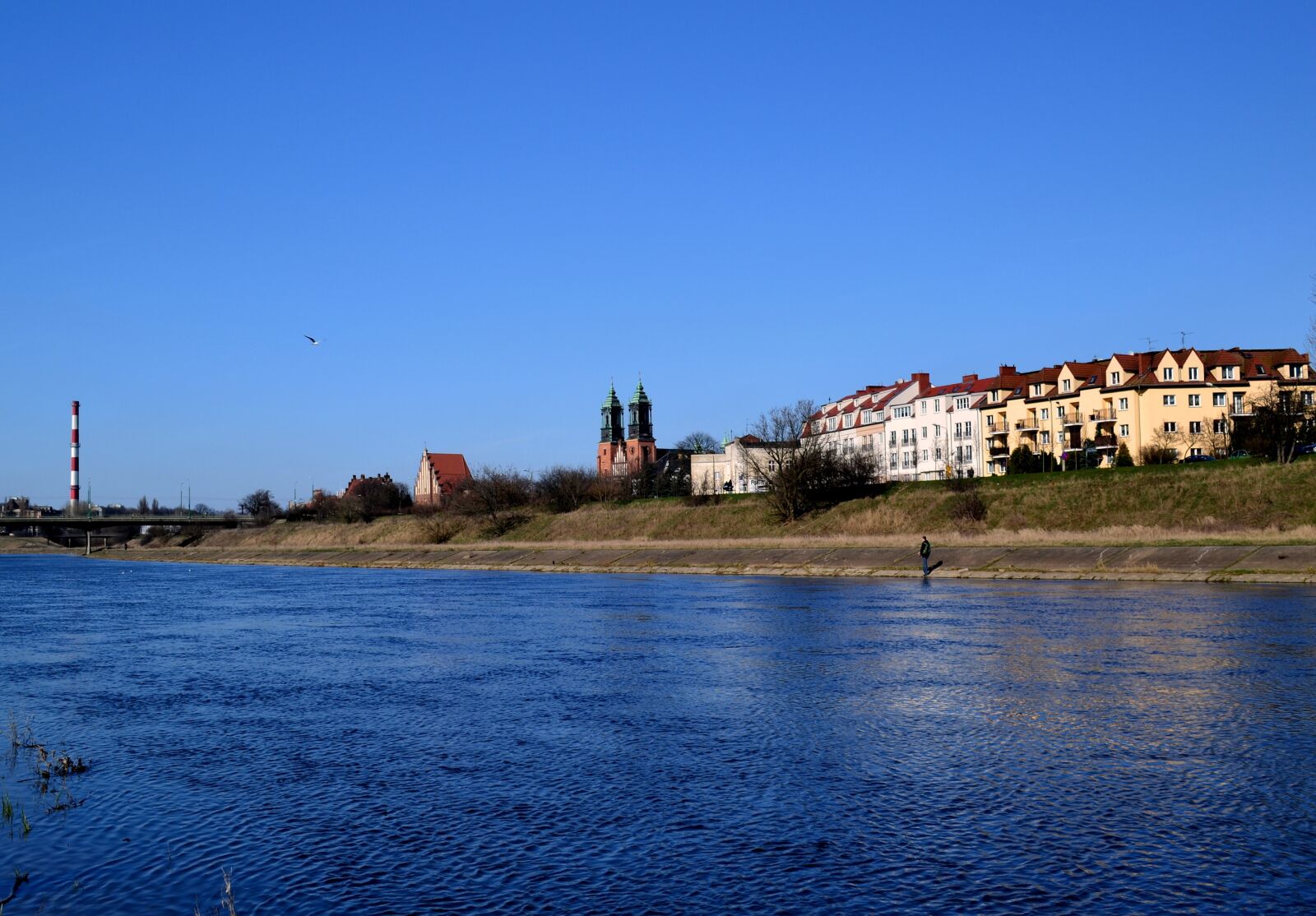 Nikon D3100 sample photo. Poznan, river, the cathedral photography