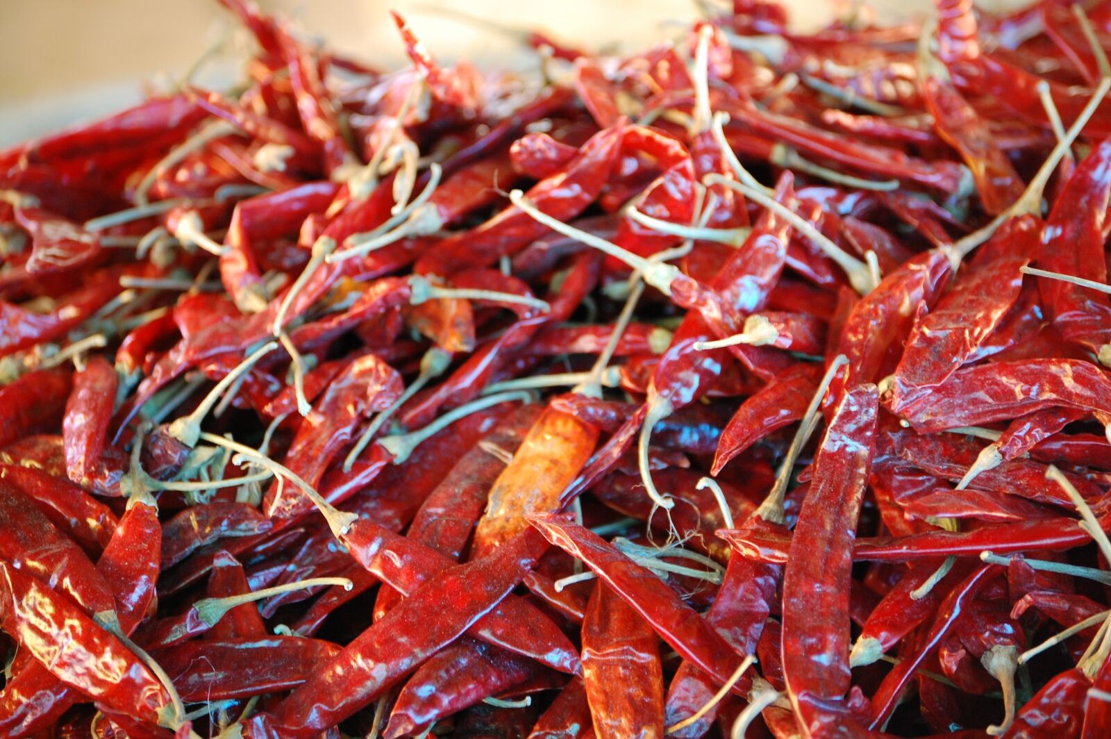 Nikon D40 sample photo. Bhutan, chiles, chile cheese photography