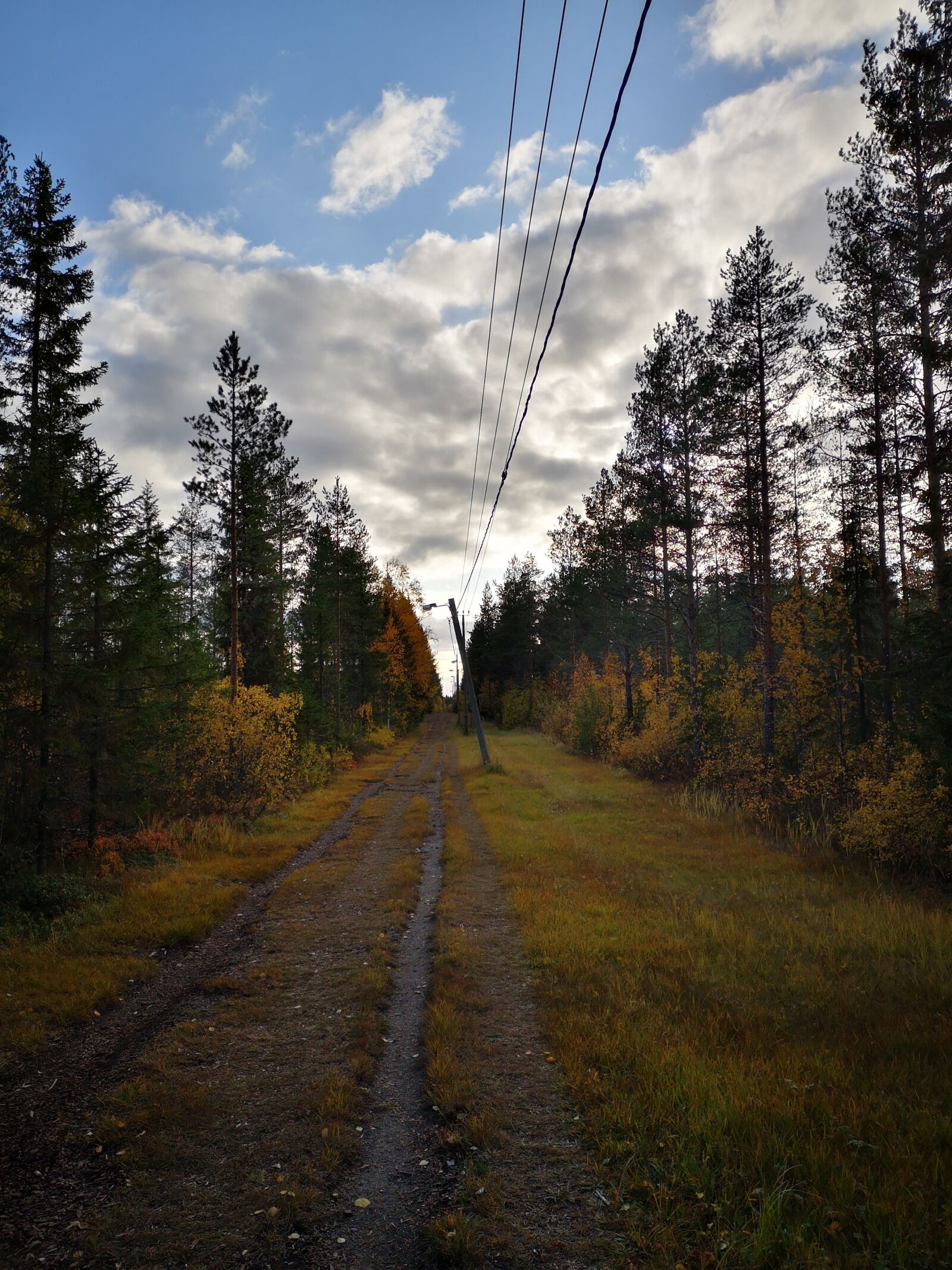 HUAWEI P20 sample photo. Nature, forest, finland photography