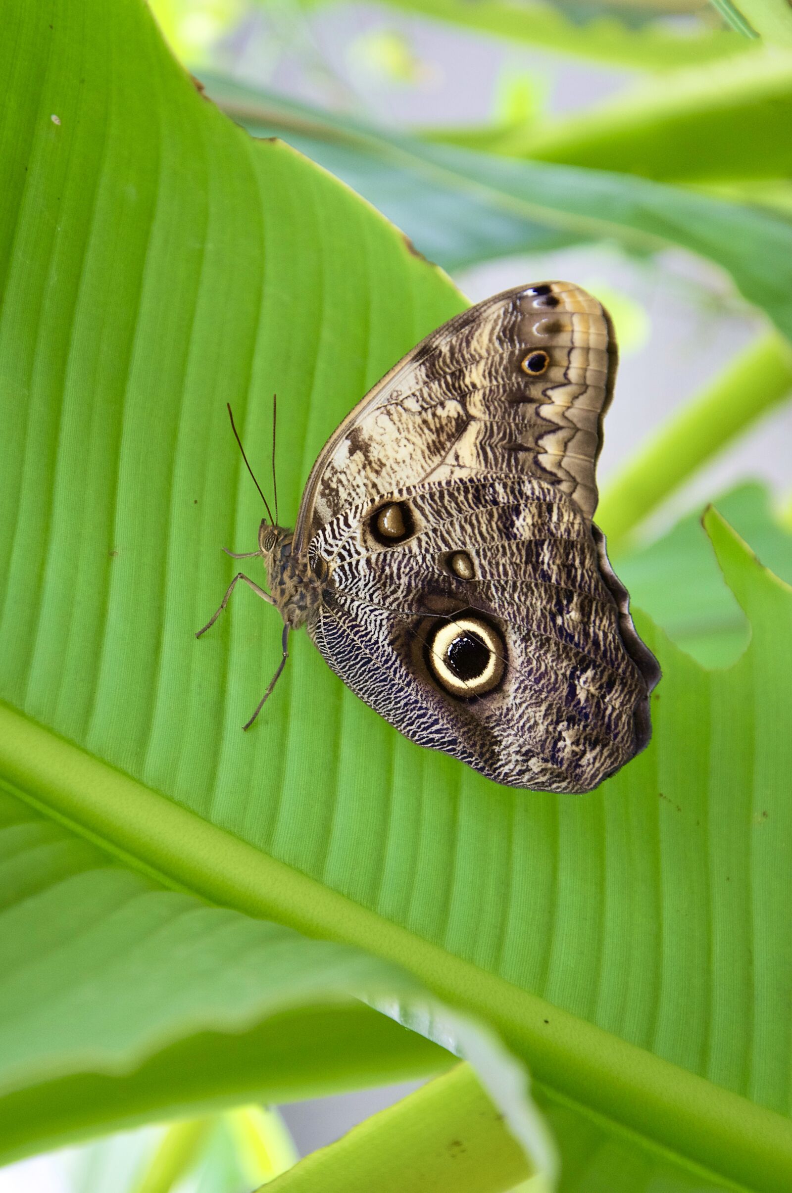 Nikon D7200 sample photo