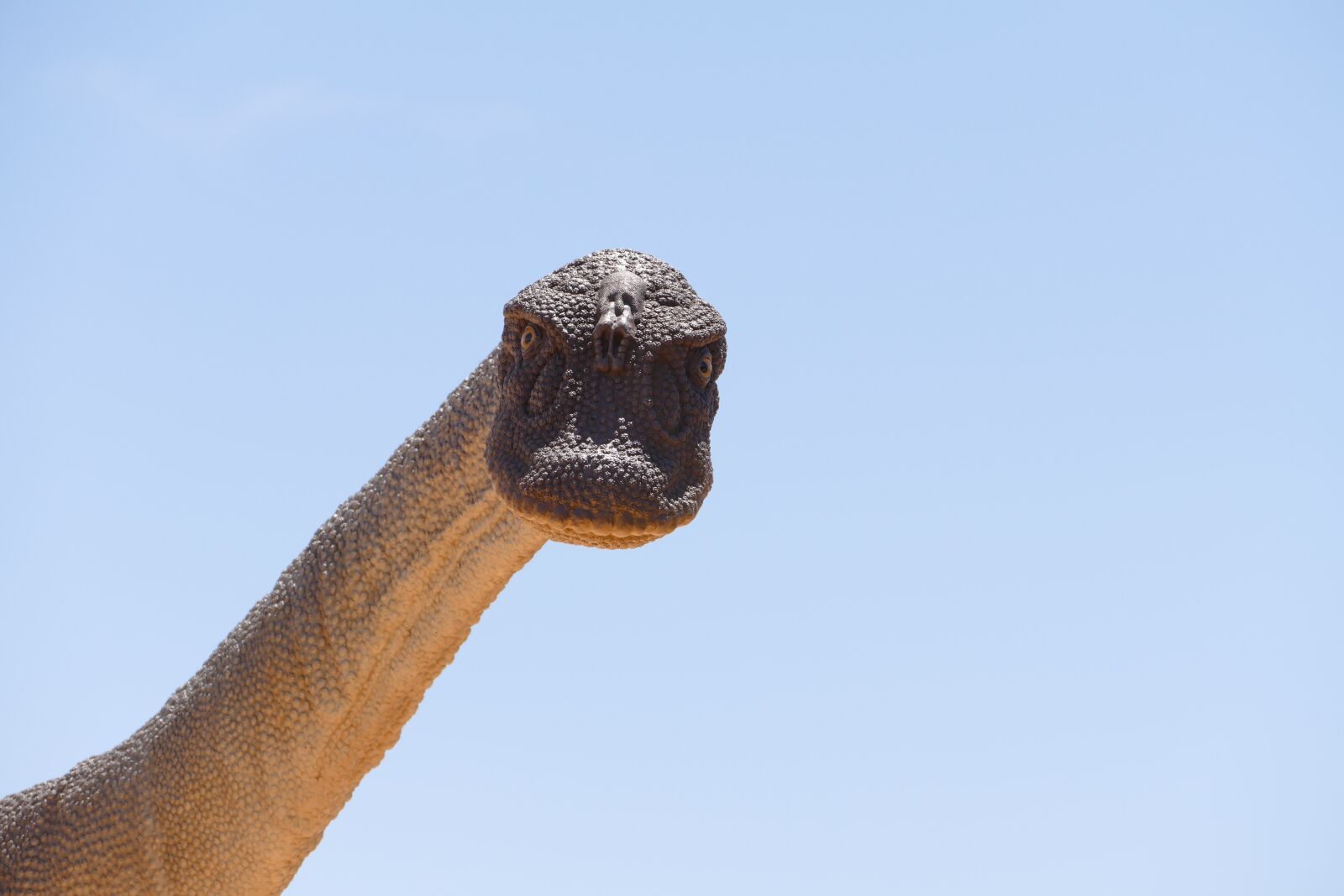 Panasonic Lumix DMC-FZ1000 sample photo. Dinosaur, raptor, fossil photography
