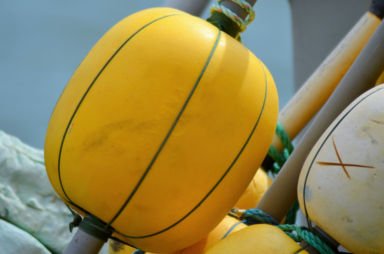 Nikon D5100 sample photo. Buoy, float, net photography
