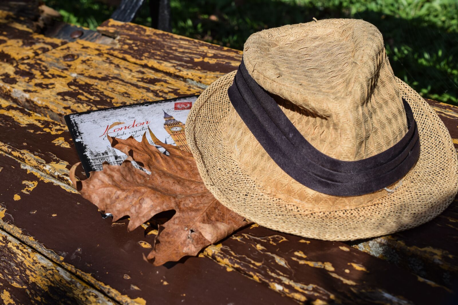 Nikon D5300 sample photo. Autumn, travel, leaf photography