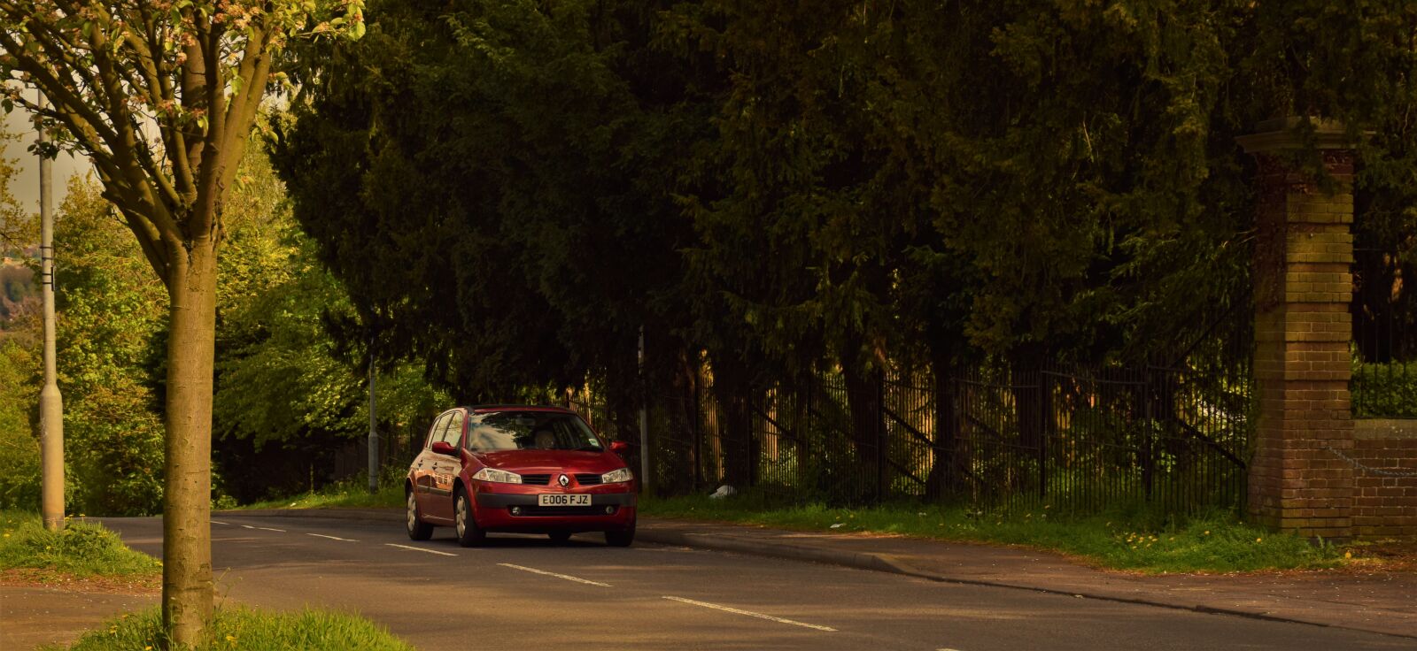 Nikon D5300 sample photo
