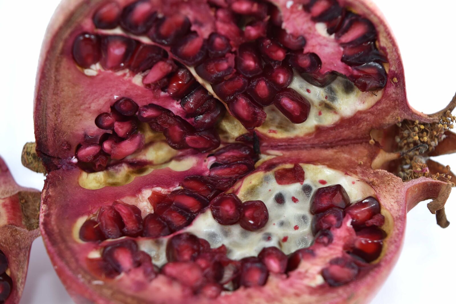 Nikon D5500 sample photo. Cross section, details, kernel photography