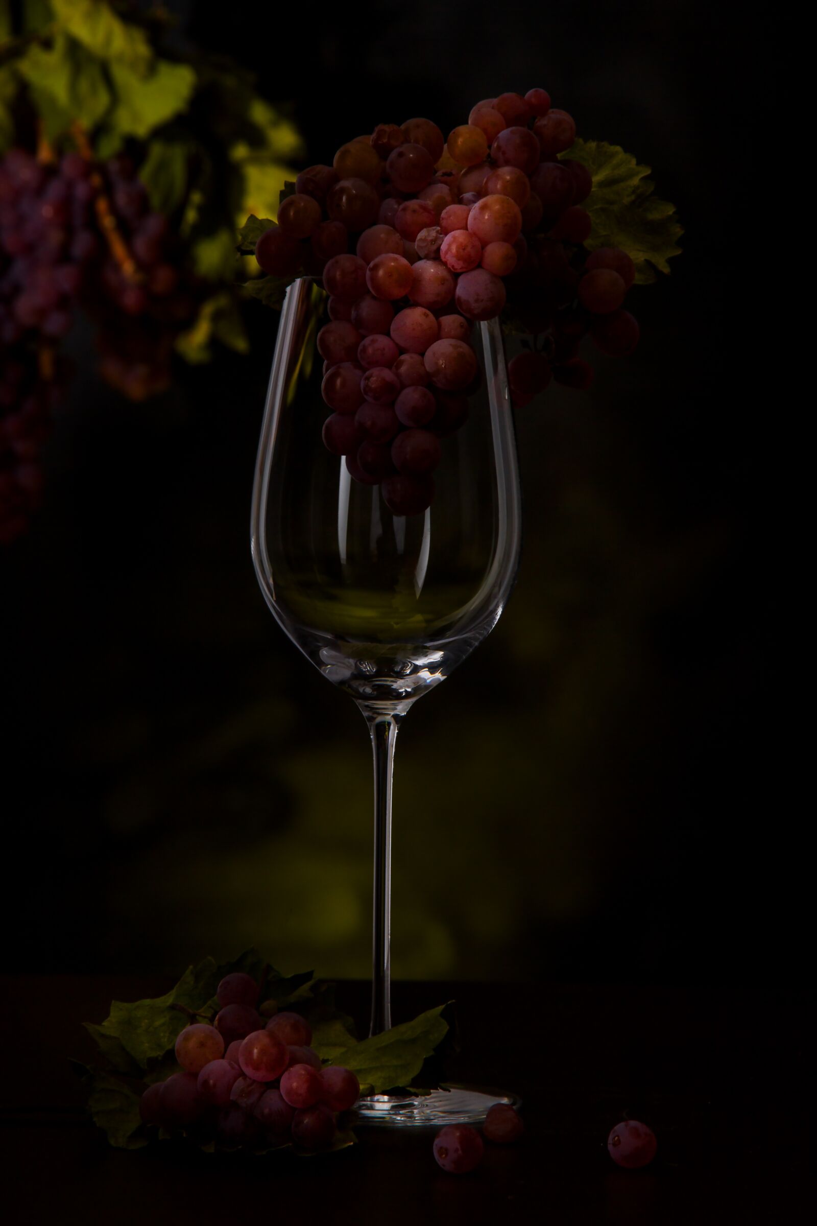 Canon EOS 7D sample photo. Grapes, wine glass, vines photography