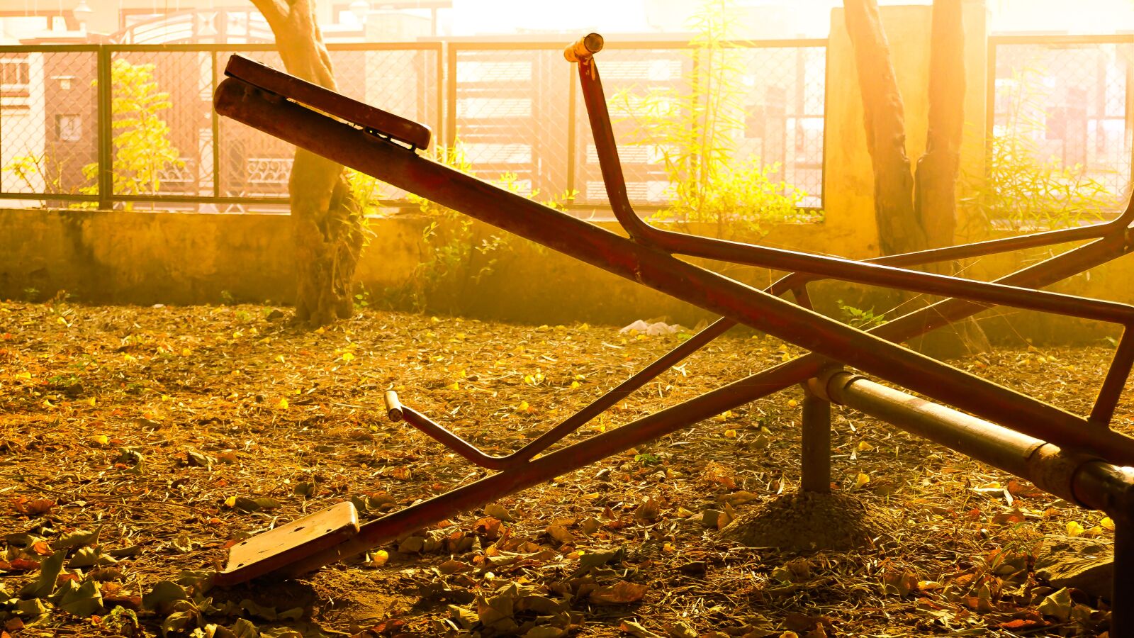 Sony a6000 sample photo. Alone, empty, golden yellow photography