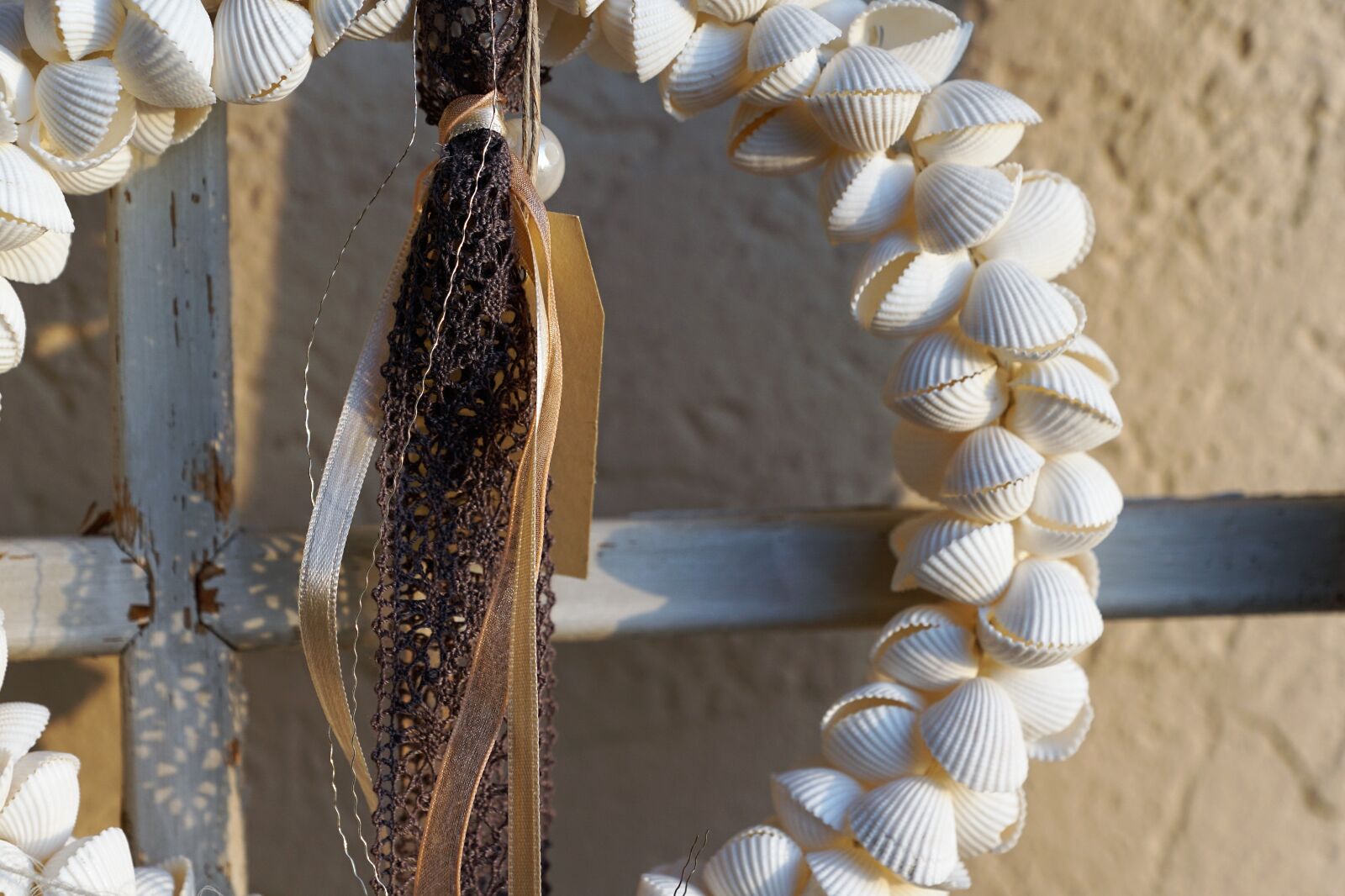 Sony ILCA-77M2 + Sony DT 16-50mm F2.8 SSM sample photo. Shell, sea, ocean photography