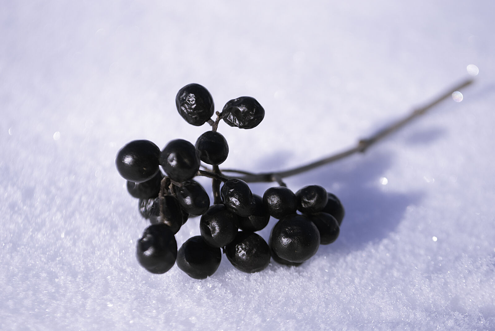 Nikon D3000 sample photo. Parallel, berries, berry, ice photography