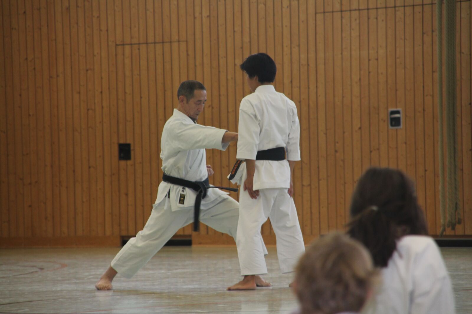 Canon EOS 1100D (EOS Rebel T3 / EOS Kiss X50) sample photo. Karate, gjaku-tsuki, course photography