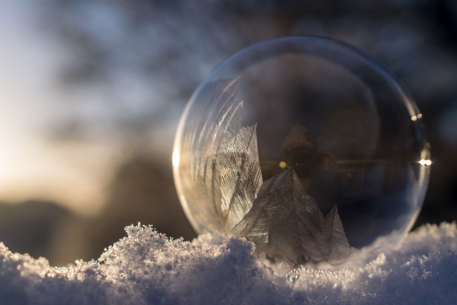 Nikon D5300 sample photo. Soap bubble, frozen, frozen photography