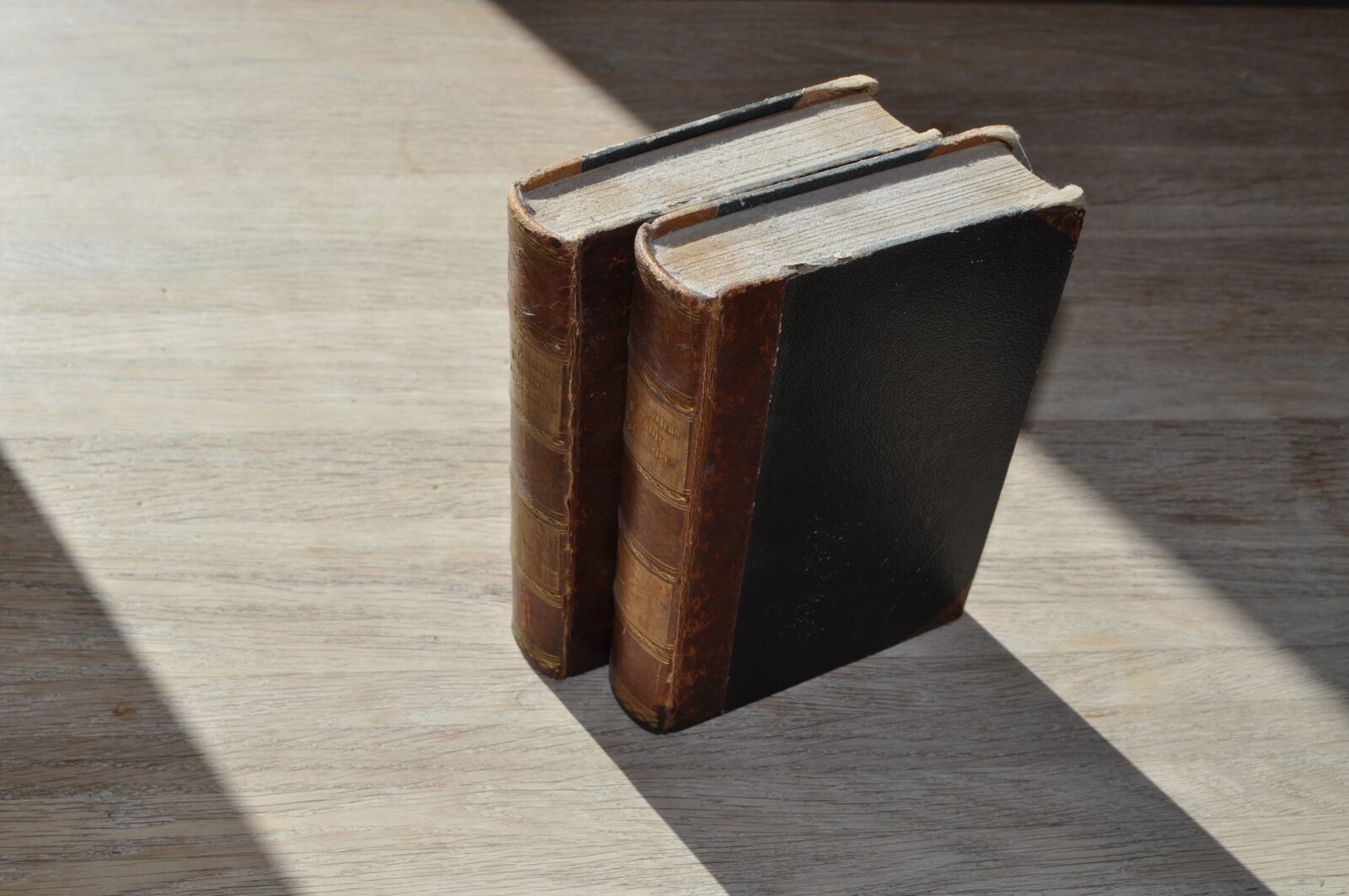Nikon D5000 sample photo. Books, shadow, read photography