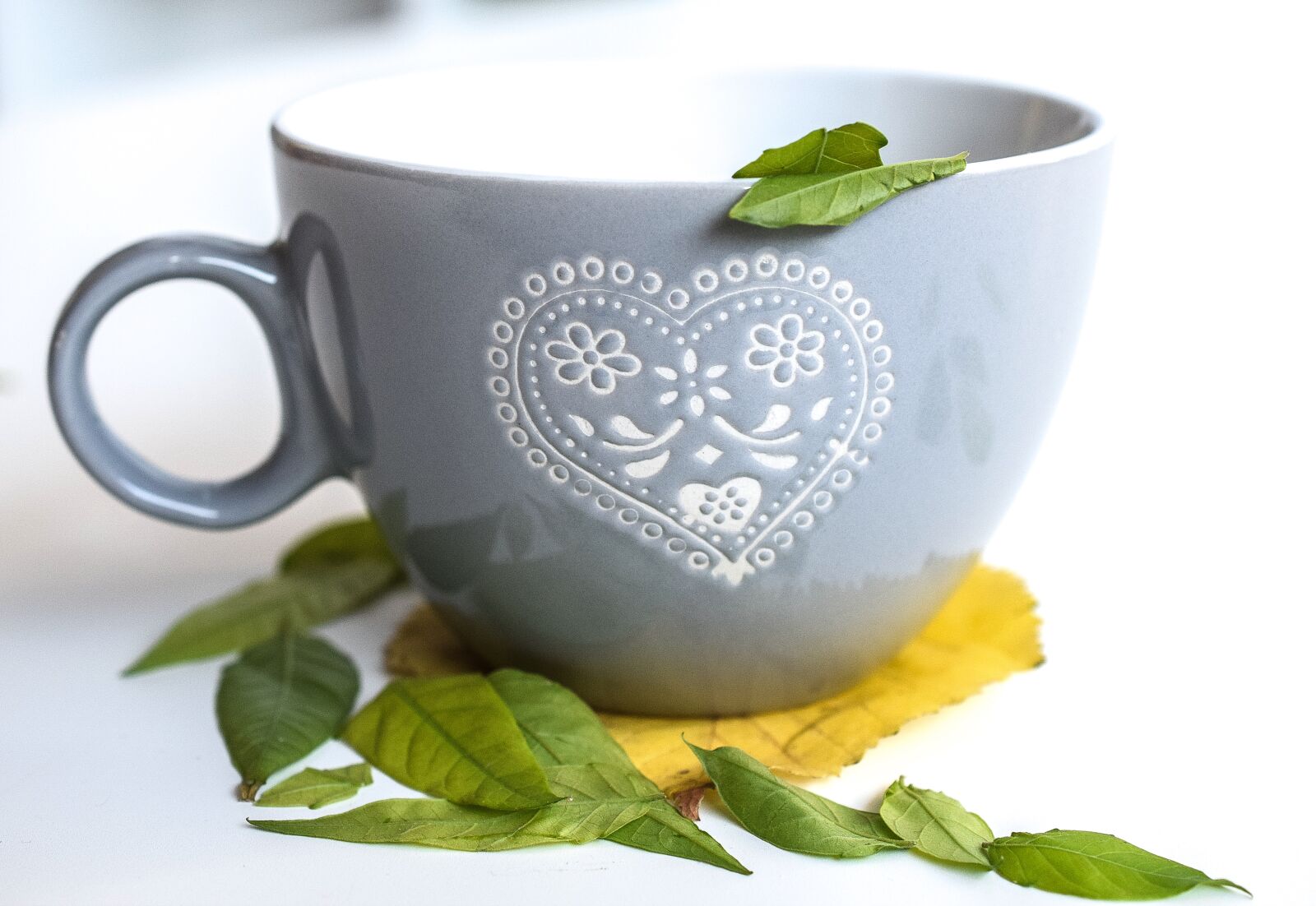 Nikon D5300 sample photo. Autumn, leaf, tea photography