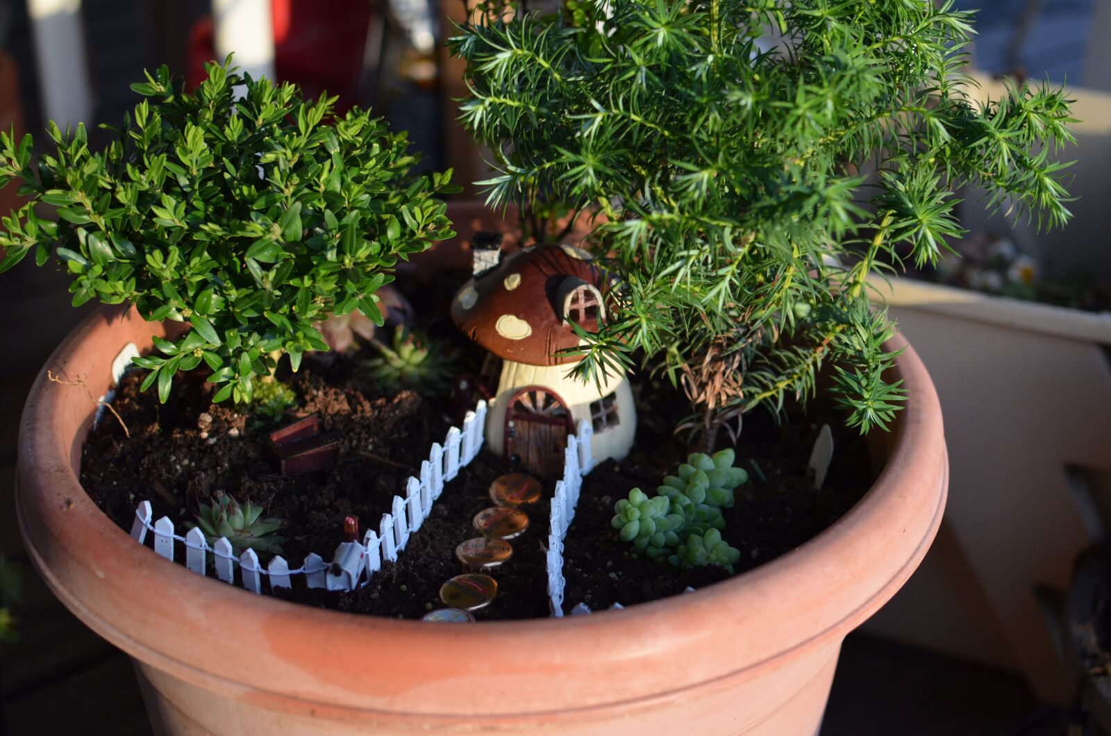 Nikon D5100 sample photo. Fairy, house, pot photography